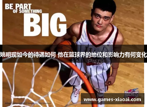 姚明现如今的待遇如何 他在篮球界的地位和影响力有何变化