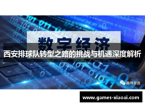 西安排球队转型之路的挑战与机遇深度解析